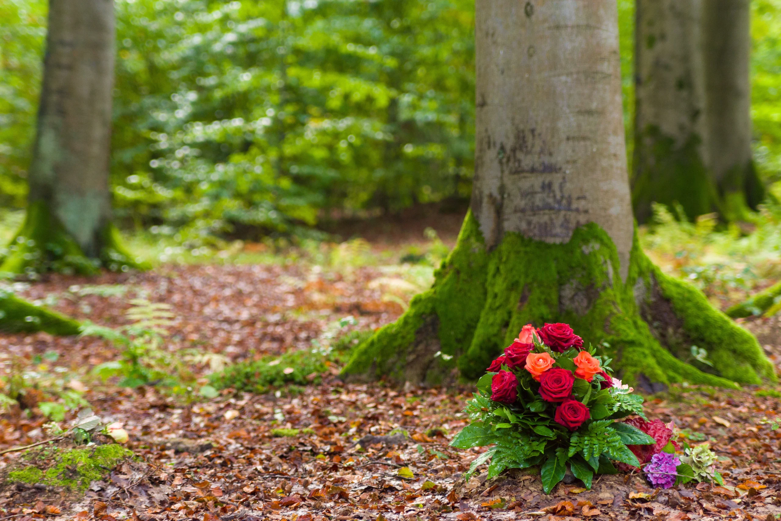 Waldbestattung